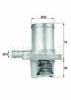 BEHR TI 40 89 Thermostat, coolant